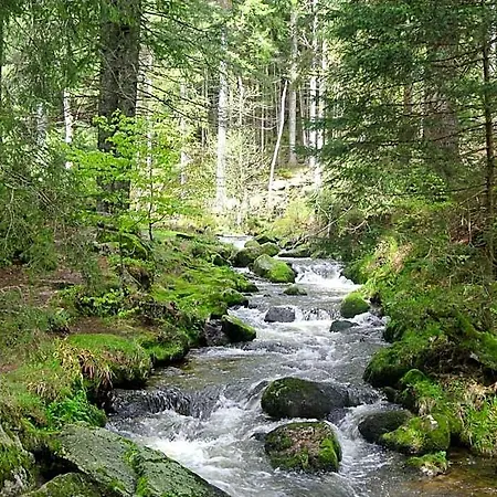 Grossbach 3*