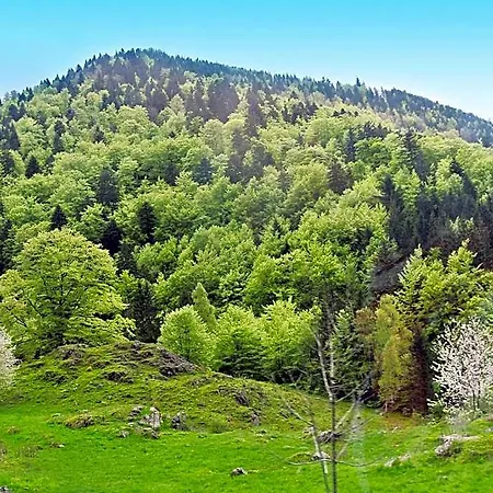 فندق Grossbach